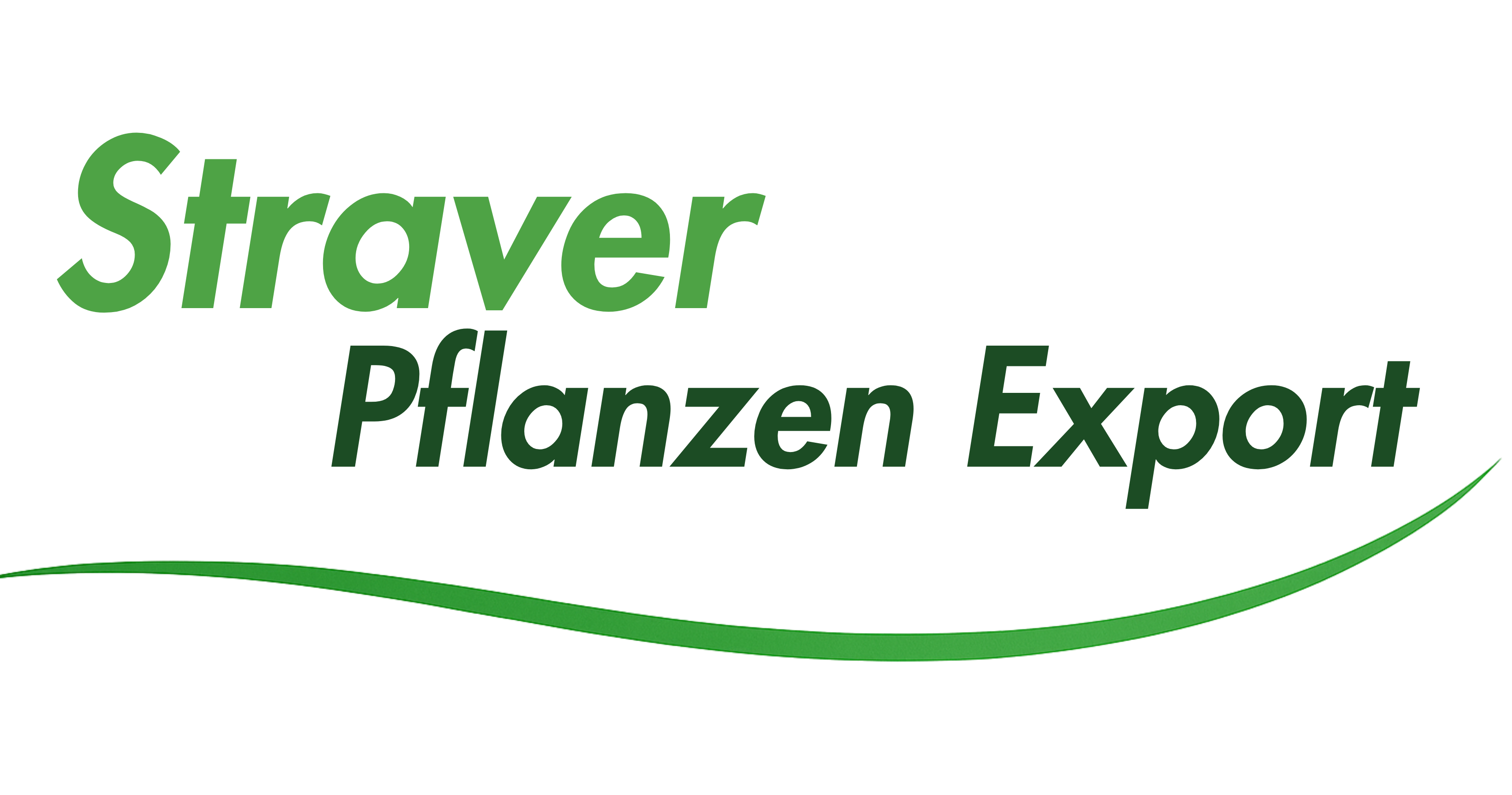 Straver Pflanzen Export